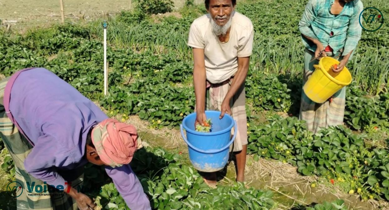 Many locals now have jobs because of his initiative. Every day, several individuals of various ages labor on the land in two shifts. 